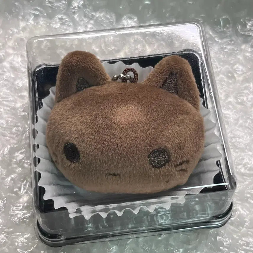 [SOLD OUT] 라이즈 원빈 vert님 생카 특전 두삔쿠 삔쫀쿠 양도