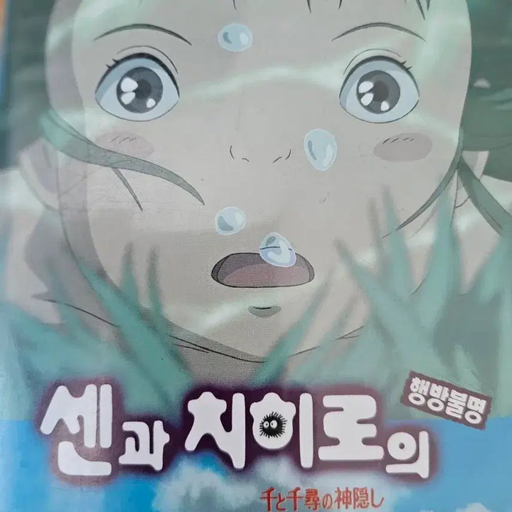 [BUNJANG] Spirited Away Animation DVD / 센과 치히로의 행방불명 애니메이션 DVD