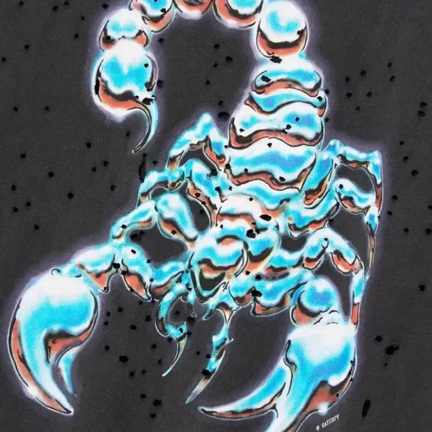 [BUNJANG] Satisfy Running Scorpion T-Shirt Aged Black / satisfy 러닝 스콜피온 티셔츠