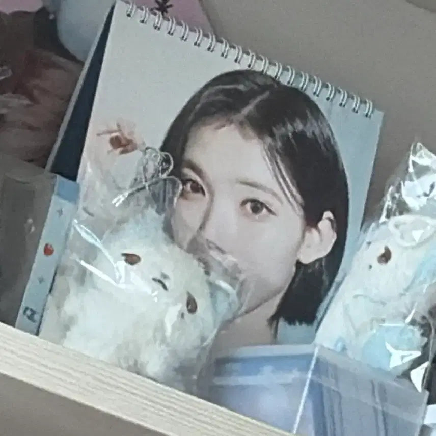 [BUNJANG] Hakkyuha Jiwoo Jjuubi Doll Sealed / 하뀨하 지우 쮸제비 인형 미개봉 양도