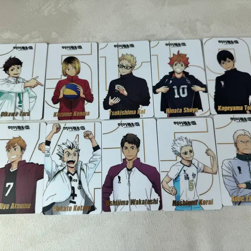 [BUNJANG] Haikyuu!! 10th Anniversary Exhibition Photocard Set / 하이큐 10주년 기념전 포토카드 세트