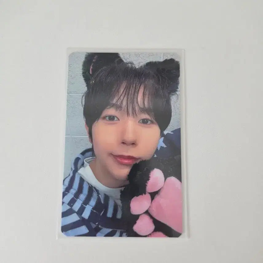 [BUNJANG] NCT WISH Ryo InterAsia Photocard / 엔시티위시 료 인터아시아 고양이 포카