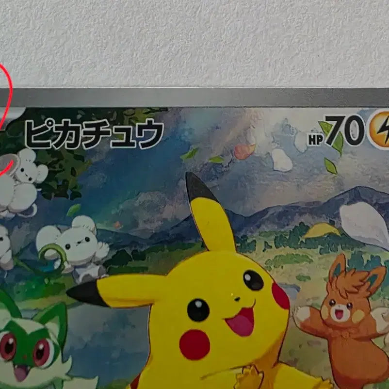 [BUNJANG] Summer Pikachu (Japan Version) / 여름피카츄(일판)