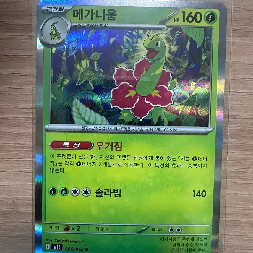 [BUNJANG] Meganium R Pokemon Card / 메가니움 R