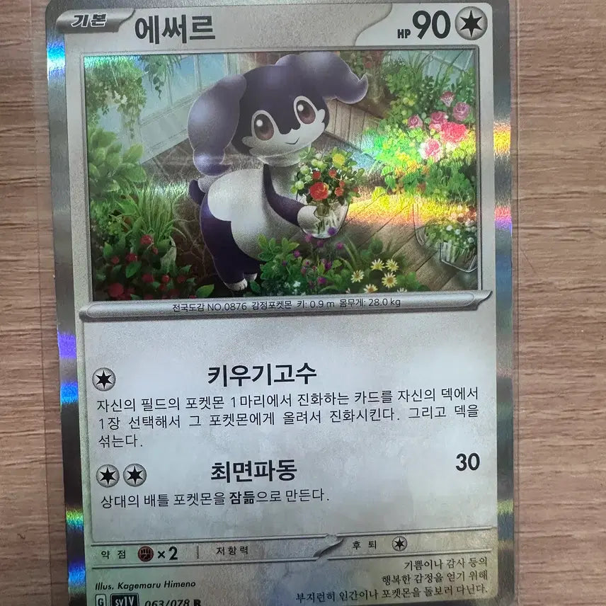 [BUNJANG] Esser R Pokemon Card / 에써르 R