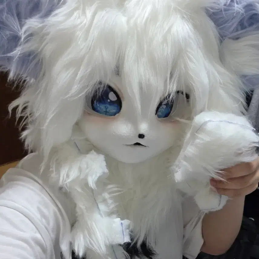 [BUNJANG] Schaden Kigurumi Fursuit Head and Balaclava / 키구루미 퍼슈트 제시가에 판매