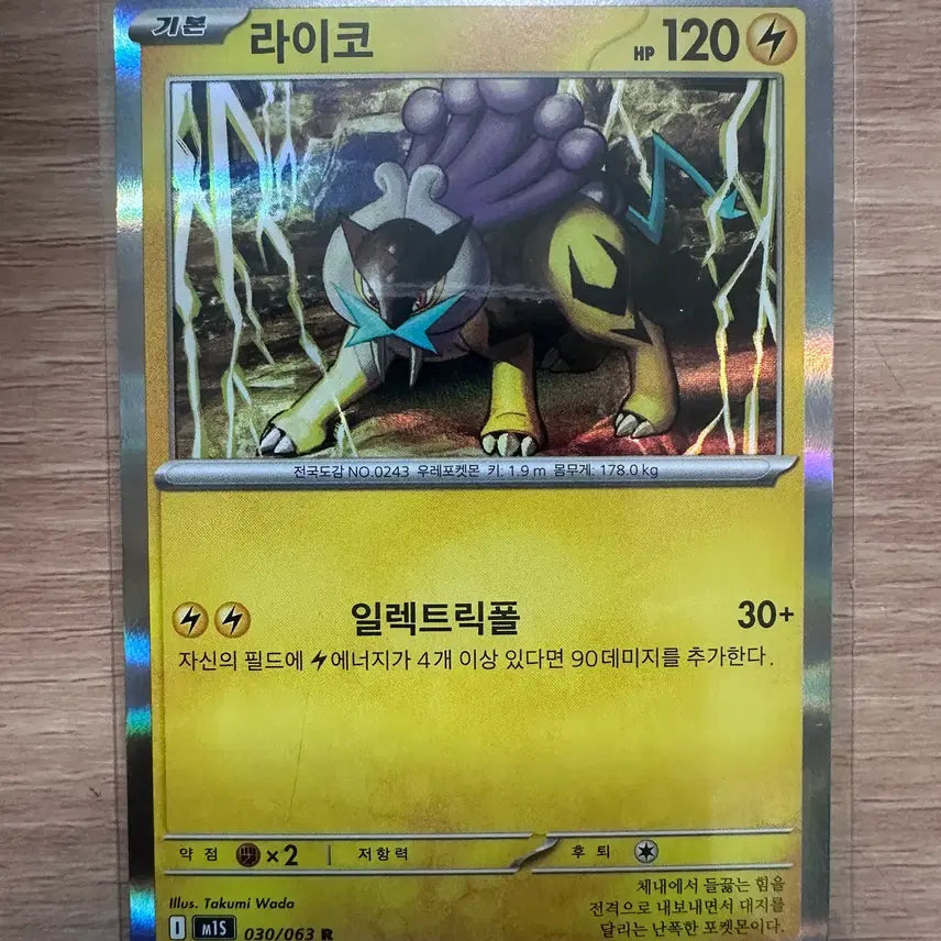 [BUNJANG] Raikou R / 라이코 R