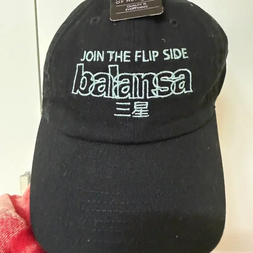 [BUNJANG] BALANSA x Samsung Collaboration Logo Baseball Cap / 발란사 삼성 콜라보 모자
