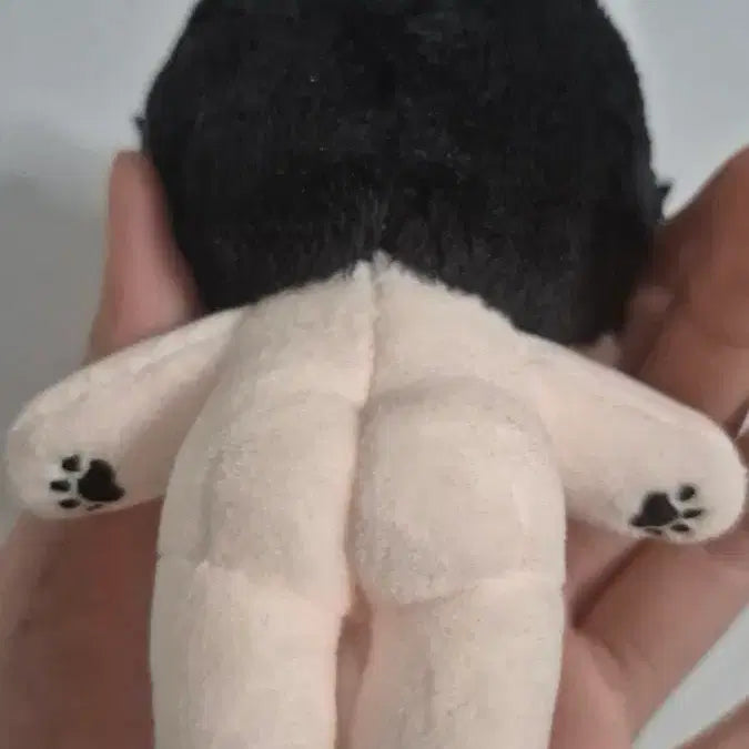 [BUNJANG] Garbage Time Jjongnyangi Somggi Cotton Doll / 택포) 가비지타임 쫑냥이 솜깅