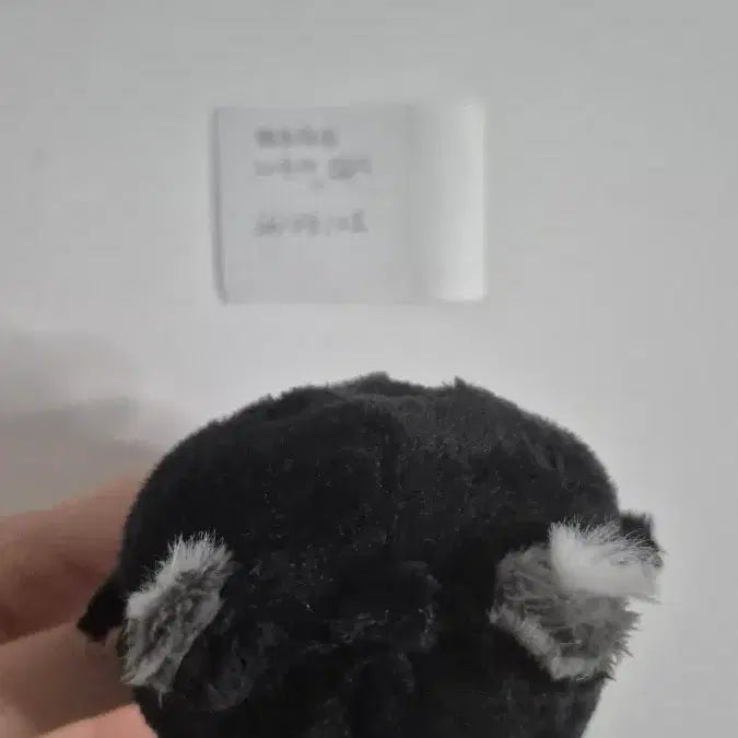 [BUNJANG] Garbage Time Jjongnyangi Somggi Cotton Doll / 택포) 가비지타임 쫑냥이 솜깅