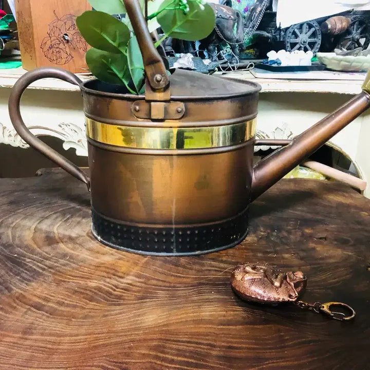 [BUNJANG] Antique Copper Watering Can Interior Prop / 구리 물뿌리개 물조로 엔틱 인테리어 소품 골동품 중