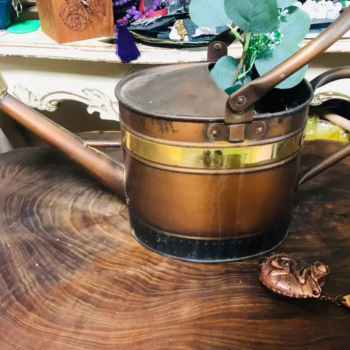 [BUNJANG] Antique Copper Watering Can Interior Prop / 구리 물뿌리개 물조로 엔틱 인테리어 소품 골동품 중