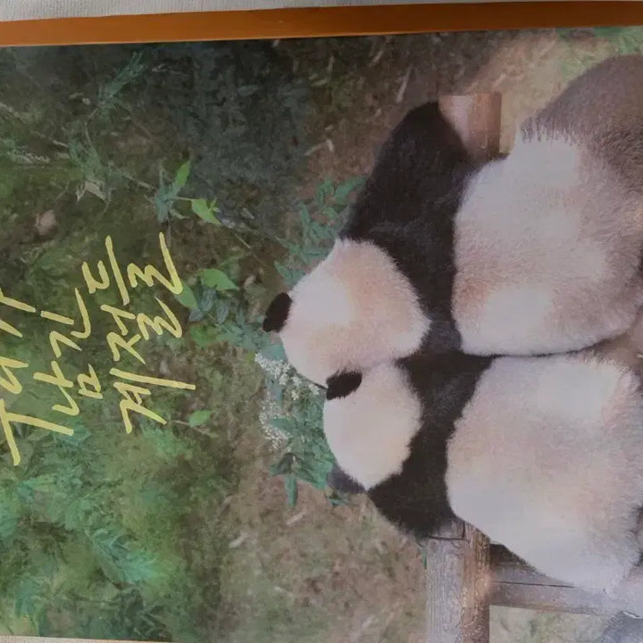 [BUNJANG] Bao Family 2026 Season&