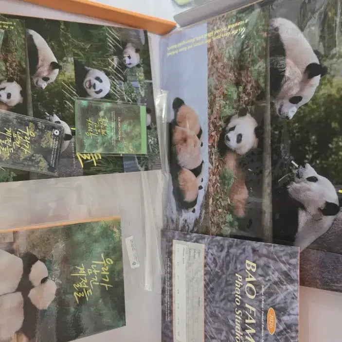 [BUNJANG] Bao Family 2026 Season&