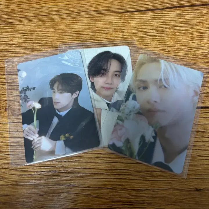 [BUNJANG] SEVENTEEN FML Carat Ver. Jeonghan Photocard Bundle / 세븐틴 FML 캐럿반 (정한버전)