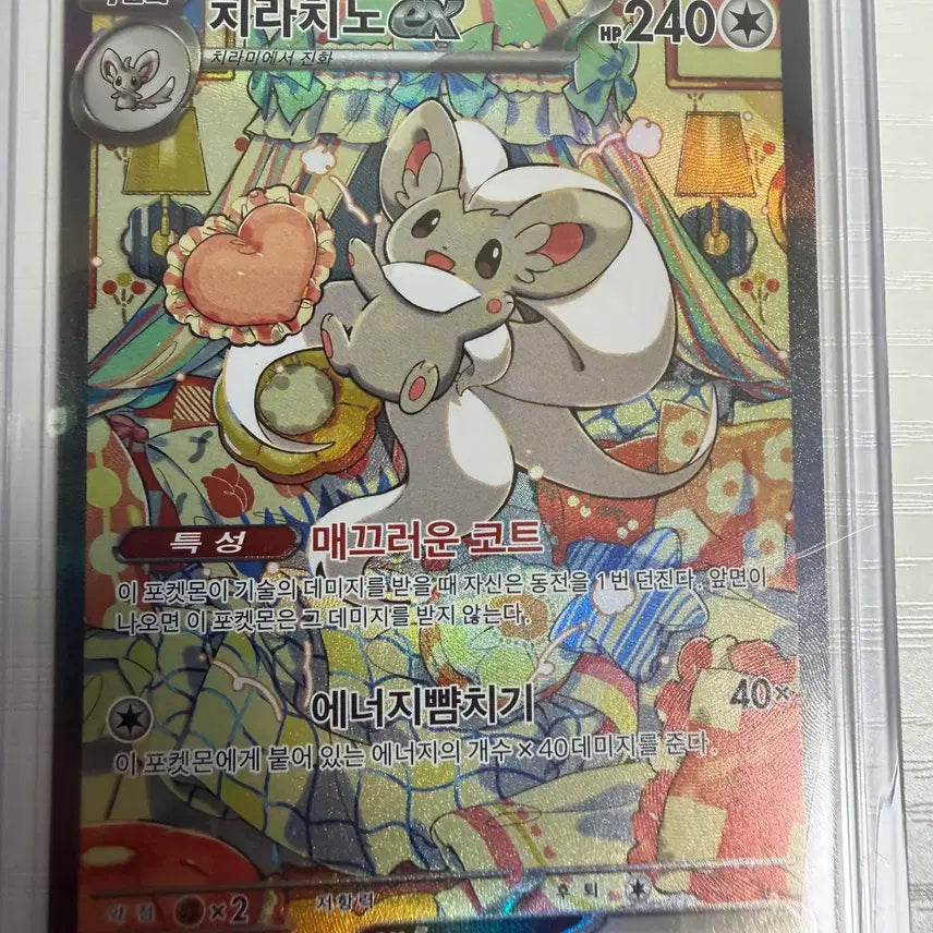 [BUNJANG] Pokemon Card Mega Charizard / 포켓몬 카드 판매합니다 메가개굴닌자