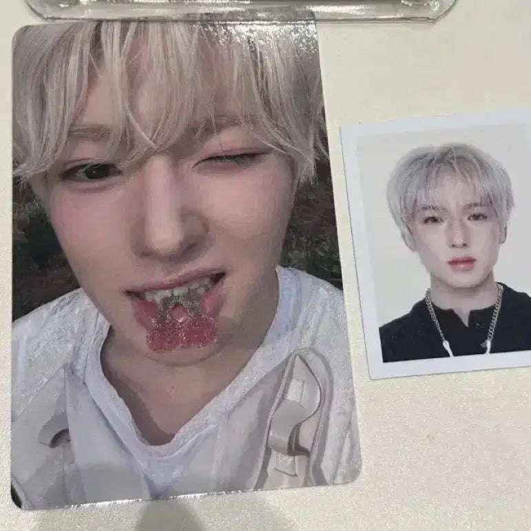 [BUNJANG] NCT WISH VISUAL CARD SAKUYA Full Set / 엔시티위시 빅스미니 안테로스 사쿠야 증사 포카 풀셋 풀세트
