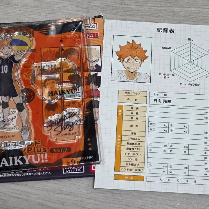 [BUNJANG] Haikyuu!! Shoyo Hinata Acrylic Stand vol.2 / 하이큐!! 히나타 쇼요 아크릴 스탠드 vol.2
