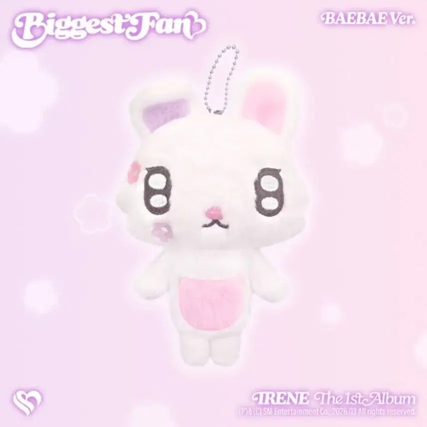 [BUNJANG] Irene Baebae Doll / 아이린 biggest fan baebae 인형만