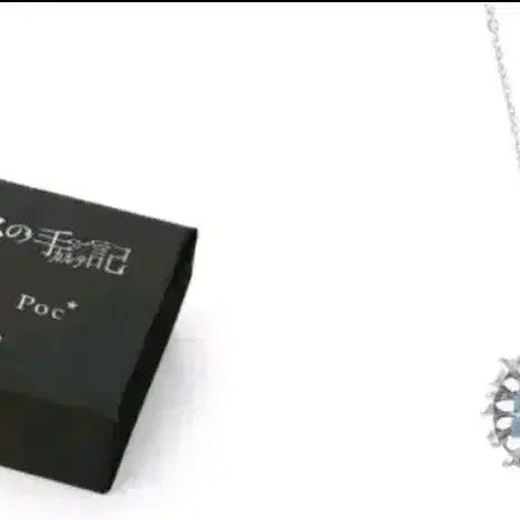 [BUNJANG] Palnart Poc x The Case Study of Vanitas Necklace (New) / 바니타스의수기 목걸이(새상품)
