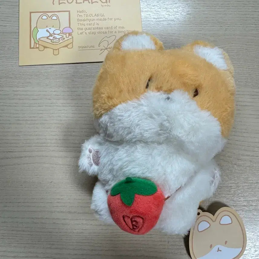 [BUNJANG] Baekhyun 20cm Plush Doll Full Box / 백현 터래기 20cm 인형(너가 나를 지켜야해, AR 보이스)