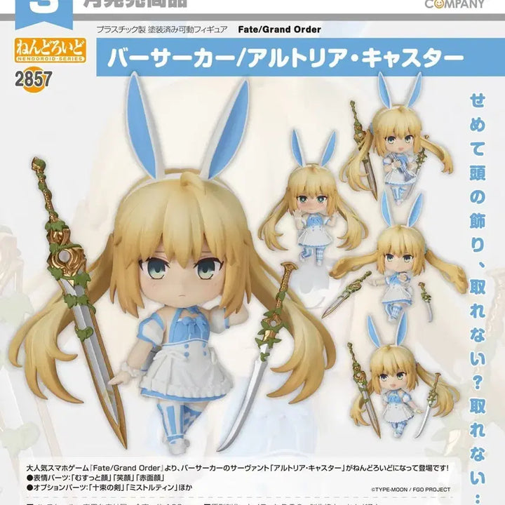 [BUNJANG] Nendoroid 2857 Berserker Altria Caster Sealed / 넨도로이드 2857 버서커 알트리아 캐스터 미개봉