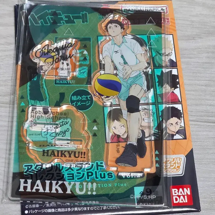 [BUNJANG] Haikyu!! Tooru Oikawa Acrylic Stand vol.2 / 하이큐!! 오이카와 토오루 아크릴 스탠드 vol.2