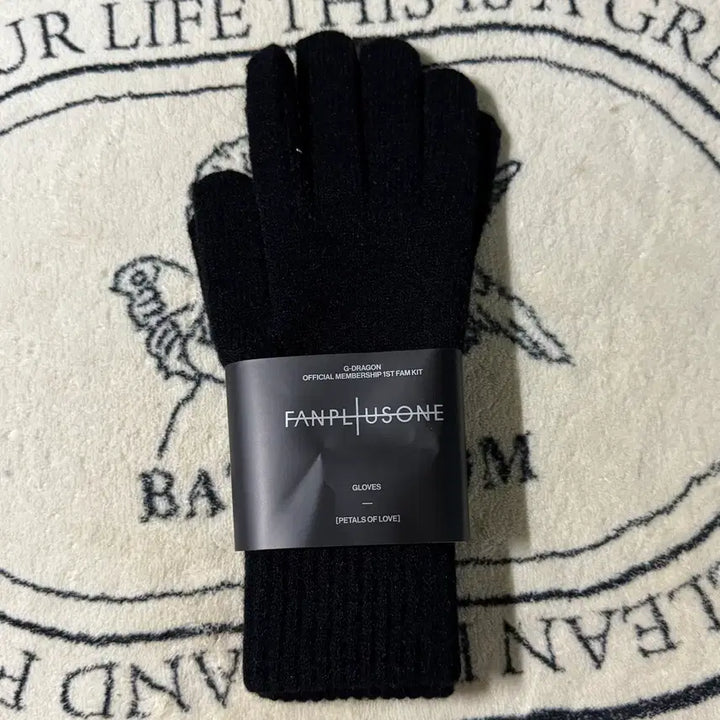 [BUNJANG] BIGBANG G-Dragon Pamkit Gloves / 빅뱅 지드래곤 팸키트 장갑