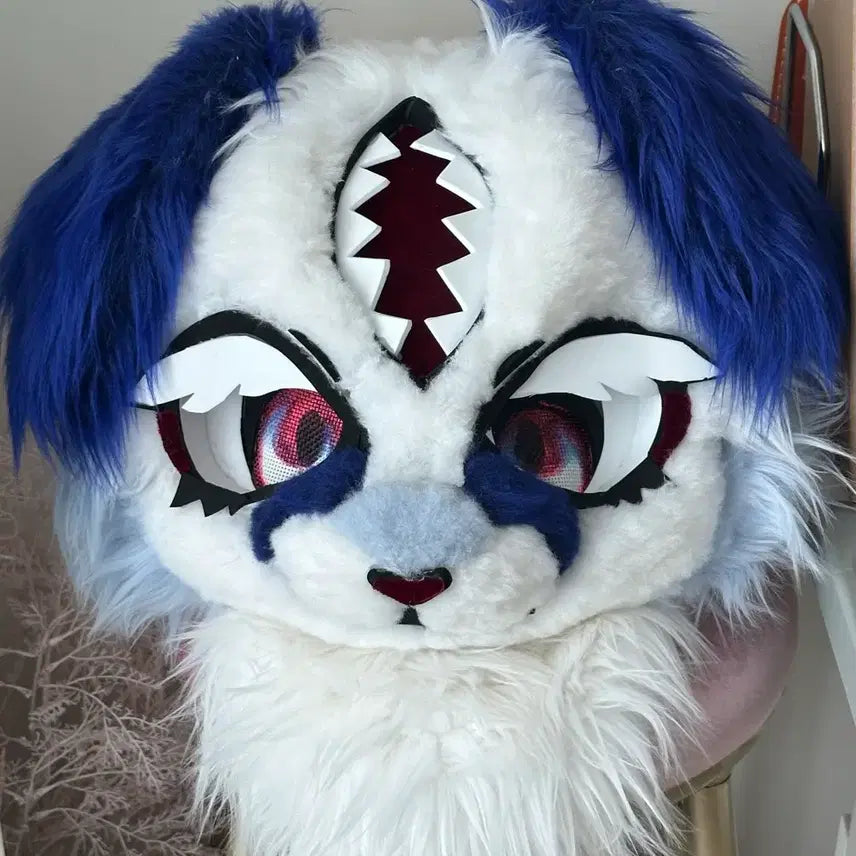 [BUNJANG] Fullsuit for Sale / 퍼슈트 판매