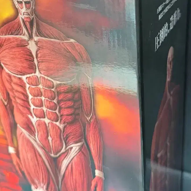 [BUNJANG] Attack on Titan Colossal Titan Last One Prize Figure (Sealed) / 미개봉)) 진격의 거인 초대형 거인 라스트원