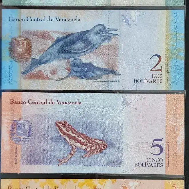 [BUNJANG] Venezuela Bolivars Banknotes 13 pcs Bundle Set / 베네수엘라 볼리바르 지폐 13장 일괄