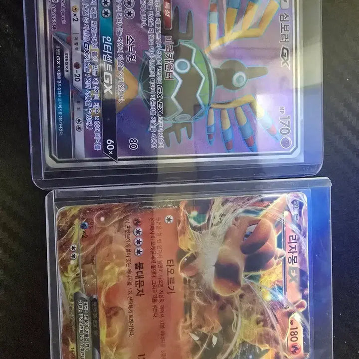 [BUNJANG] Pokemon Ancient Card Bundle / 포켓몬카드 고대카드 팝니다.
