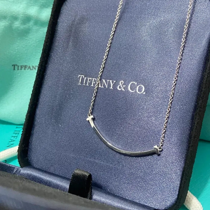 [BUNJANG] Tiffany &amp; Co. Smile Necklace Silver / 티파니 앤 코 스마일 목걸이 실버