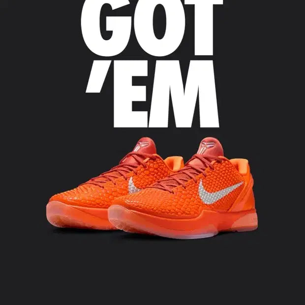 [BUNJANG] Nike Kobe 6 Protro Total Orange Basketball Shoes (280) / 코비 6 토탈오렌지 팝니다 ! (280)새상품