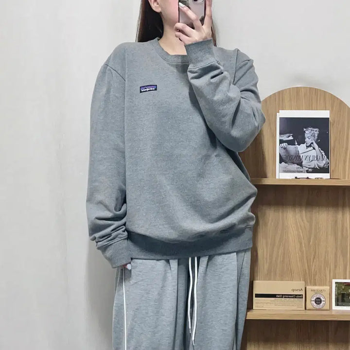 [BUNJANG] Patagonia Grey Patch Logo Sweatshirt L / [정품] 파타고니아 그레이 패치로고 맨투맨 [ L ]