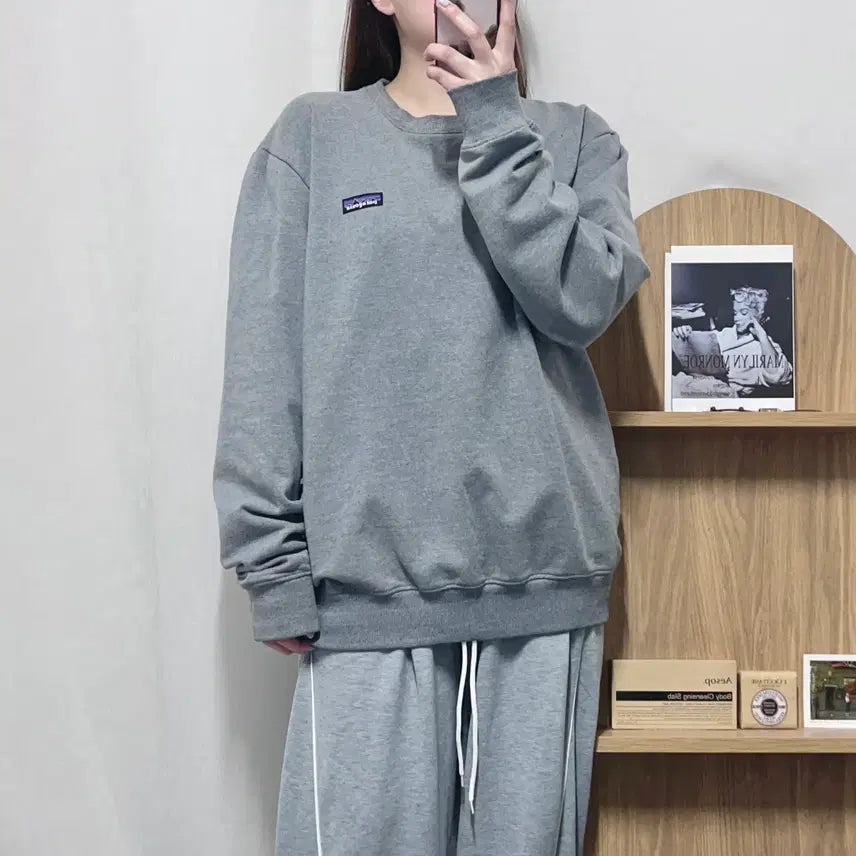 [BUNJANG] Patagonia Grey Patch Logo Sweatshirt L / [정품] 파타고니아 그레이 패치로고 맨투맨 [ L ]