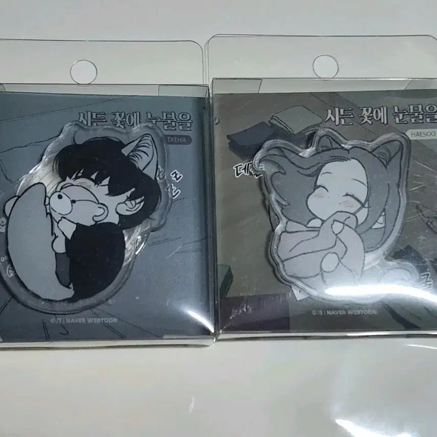 [BUNJANG] Withered Flower Tears Acrylic Smart Tok / 시든 꽃에 눈물을 아크릴 스마트톡