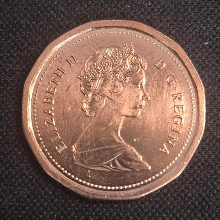 [BUNJANG] 1984 Canada 1 Cent Coin / 1984년 캐나다 1센트 동전 [EP. 2510]