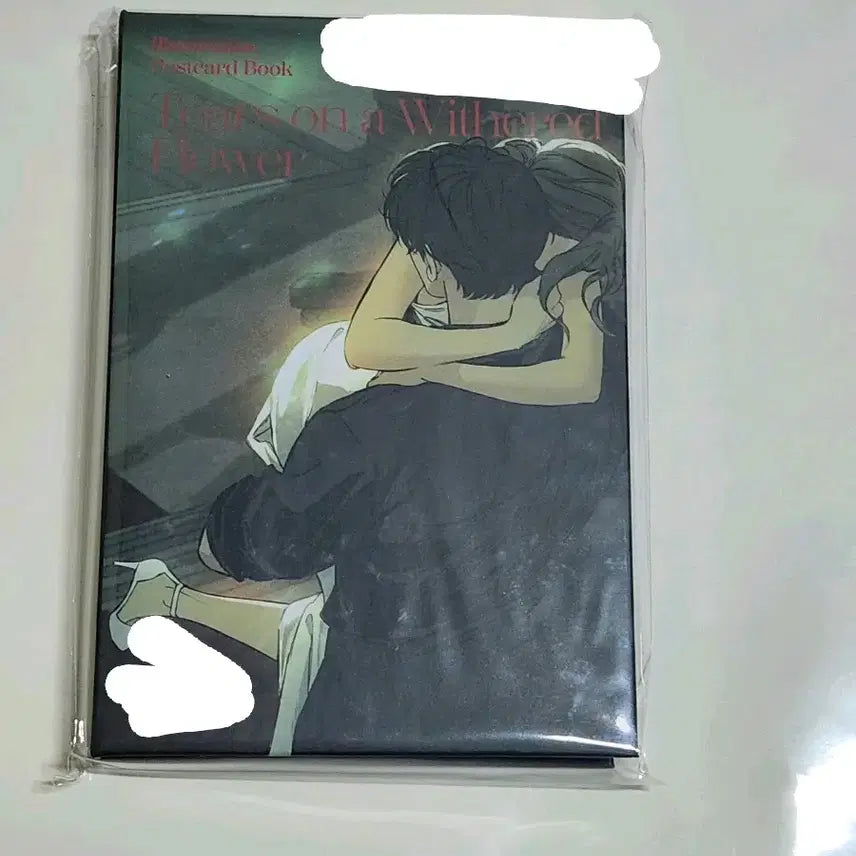[BUNJANG] Wilted Flowers Tear Illustration Postcard Book / 시든 꽃에 눈물을 일러스트 엽서북