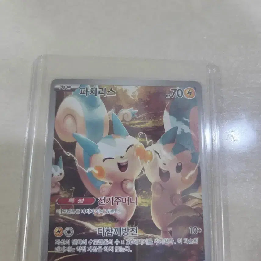 [BUNJANG] Pachirisu AR / 파치리스 ar