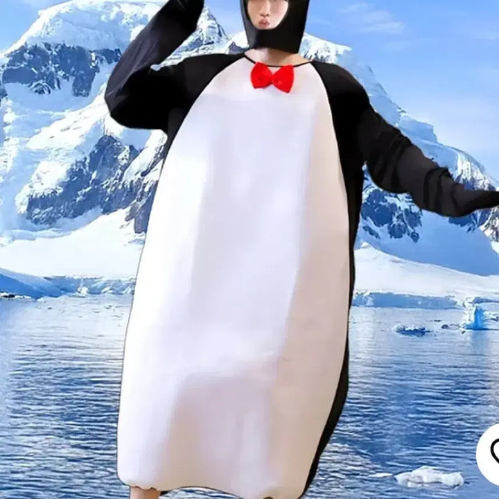 [BUNJANG] Penguin Graduation Photo Rental / 펭귄 졸업사진 대여합니다