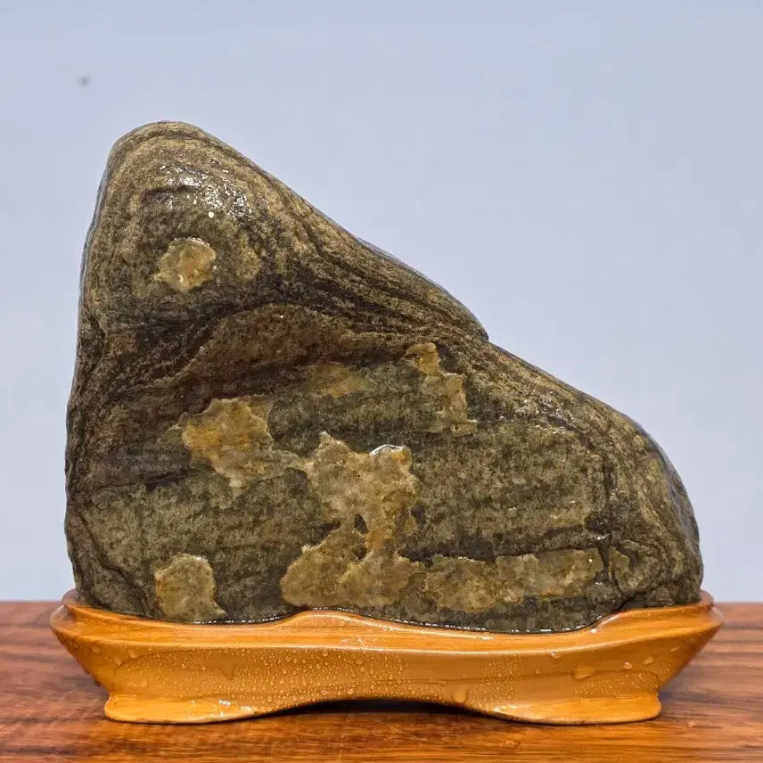 [BUNJANG] Namhangang Pattern Stone Water Stone / 260501  남한강 문양석 수석 팝니다