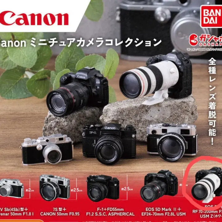 [BUNJANG] Bandai Canon Miniature Camera Collection / 반다이 캐논 미니어쳐 카메라 컬렉션
