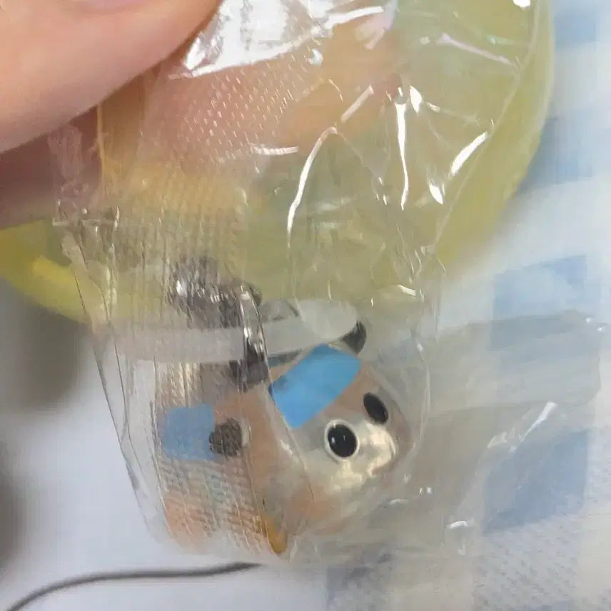 [BUNJANG] Moruka Gacha Transparent Figure / 모루카 가챠 투명