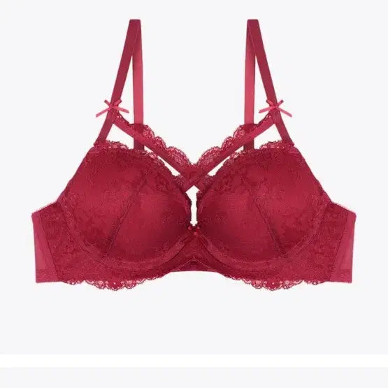 [BUNJANG] Sexycookie Cross Lace Wine Bra &amp; Panty Set (75B) / 새상품)섹시쿠키 속옷 75B 크로스 레이스 와인 브라 레이스팬티 SET