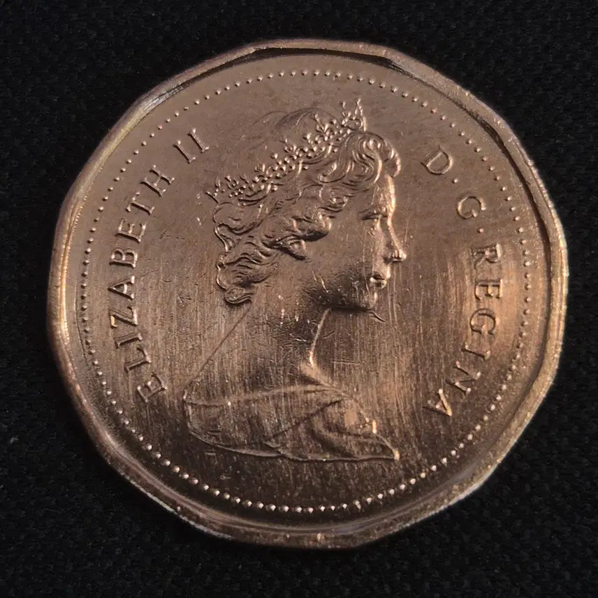 [BUNJANG] 1983 Canada 1 Cent Coin / 1983년 캐나다 1센트 동전 [EP. 2526]