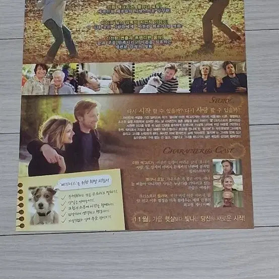 [BUNJANG] Ewan McGregor Beginners (2011) Movie Leaflet / 이완맥그리거 비기너스(2011년)전단지