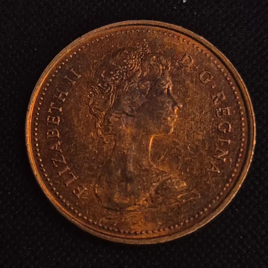[BUNJANG] 1981 Canada 1 Cent Coin / 1981년 캐나다 1센트 동전 [EP. 2537]