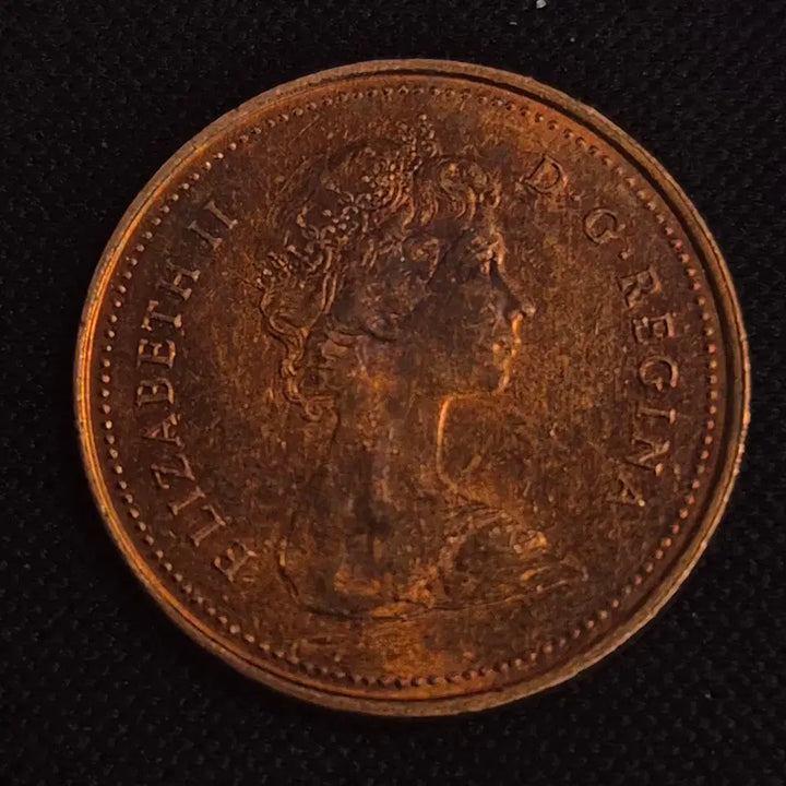 [BUNJANG] 1981 Canada 1 Cent Coin / 1981년 캐나다 1센트 동전 [EP. 2537]