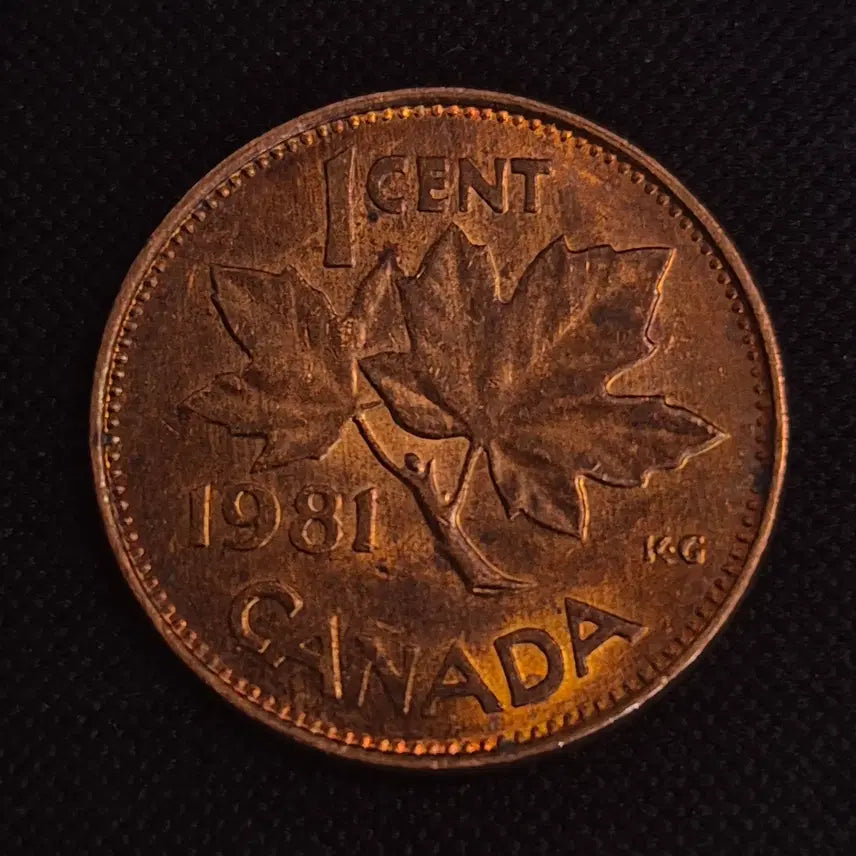 [BUNJANG] 1981 Canada 1 Cent Coin / 1981년 캐나다 1센트 동전 [EP. 2537]